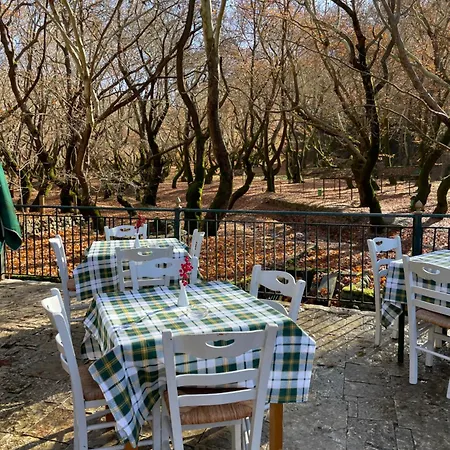 Aparthotel Mountain 