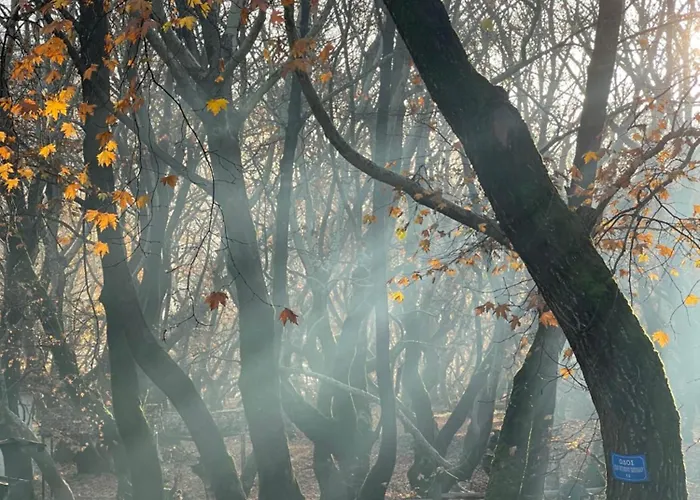 Lejlighedshotel Mountain 